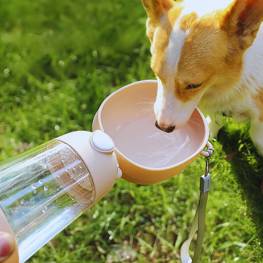 SmartBottli - Hundewasserflasche